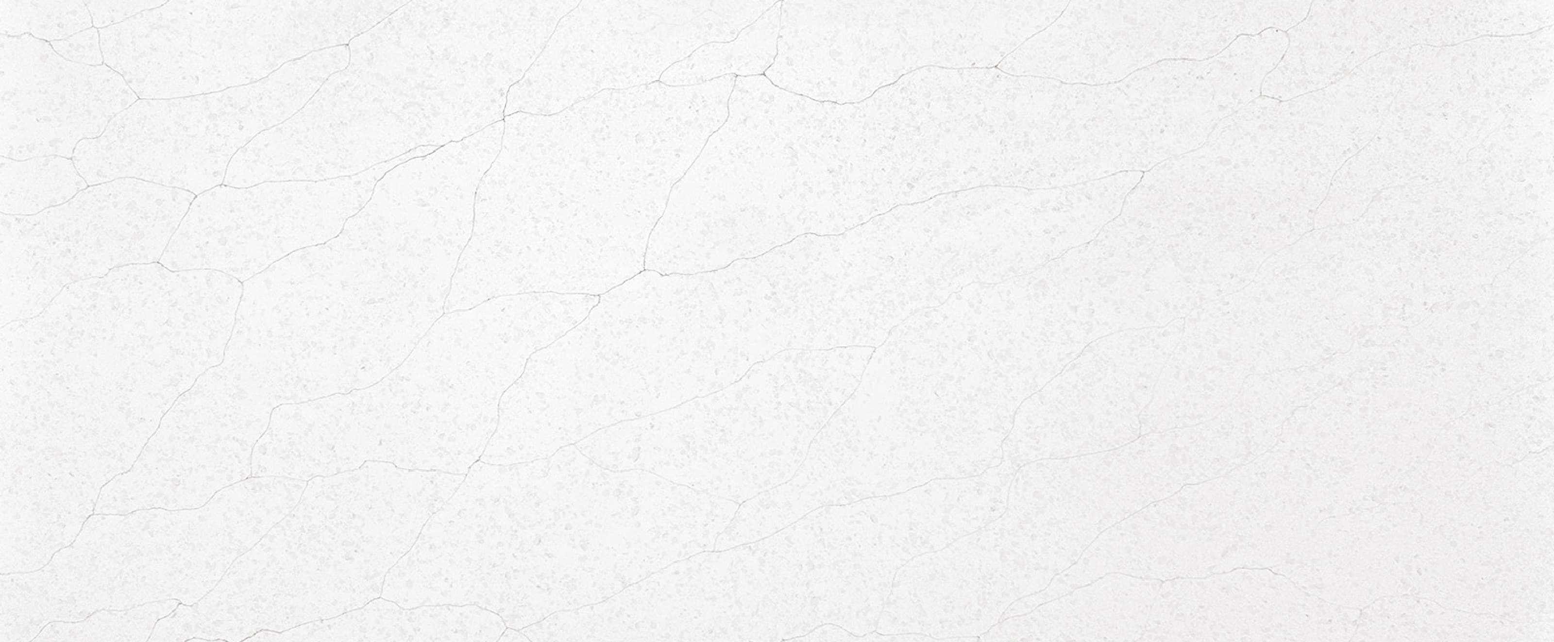 Full slab view of Calacatta Nuvo