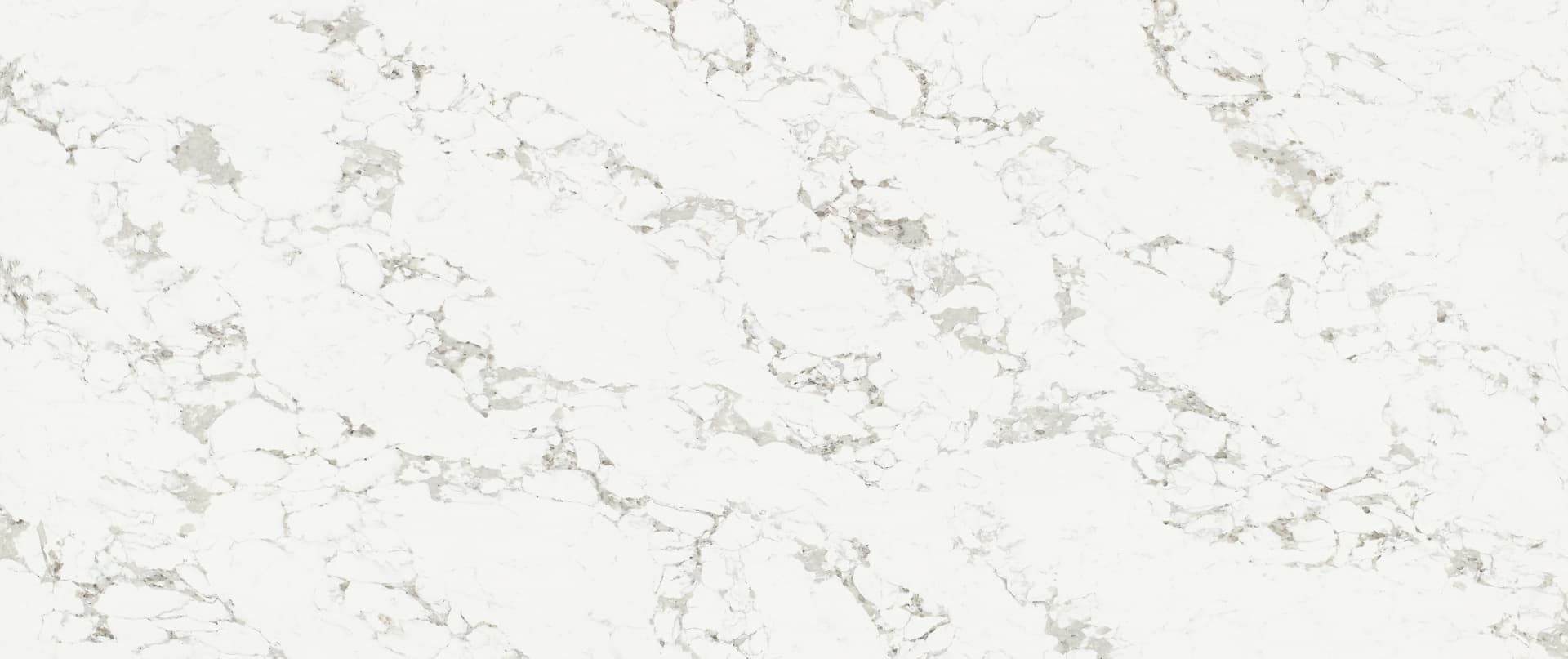 Full slab view of Arabescato White