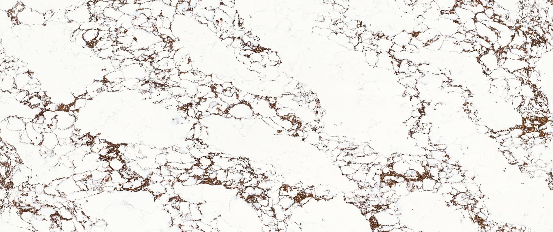 Full slab view of Calacatta Rust