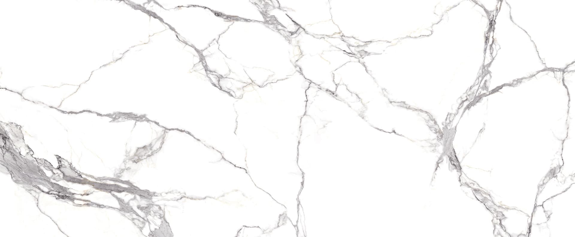 Full slab view of Calacatta Borghini