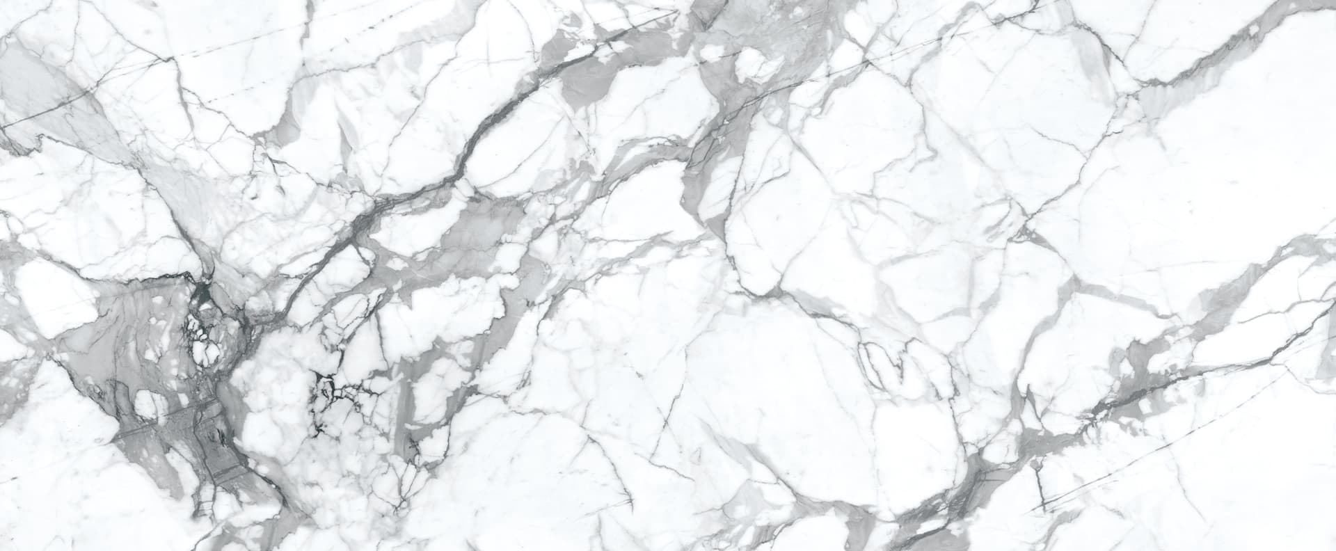 Full slab view of Calacatta Superiore