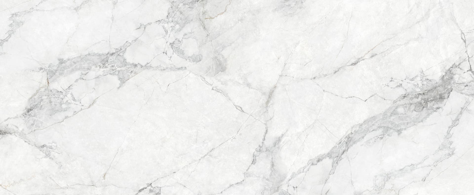 Full slab view of Calacatta Monet