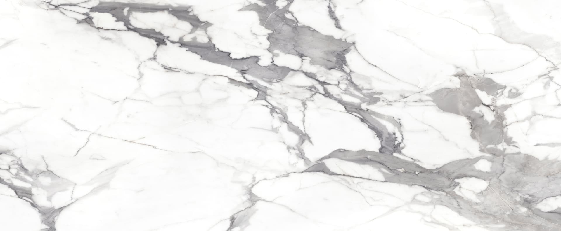 Full slab view of Arabescato Vagli