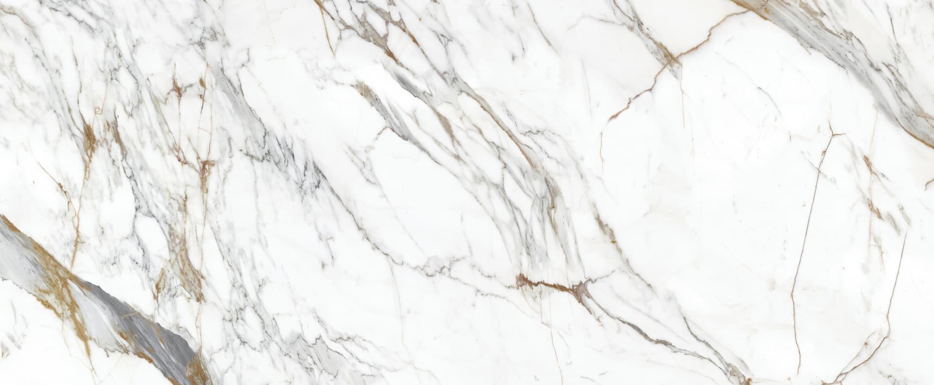 Full slab view of Calacatta Nogales