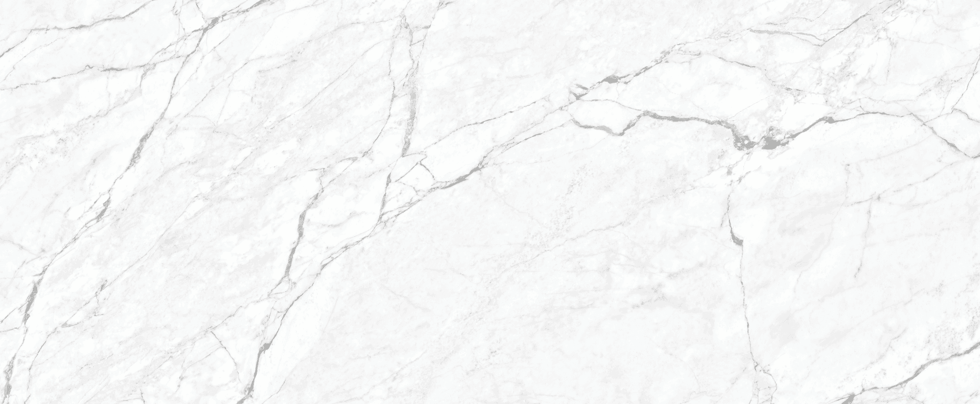 Full slab view of Calacatta Light