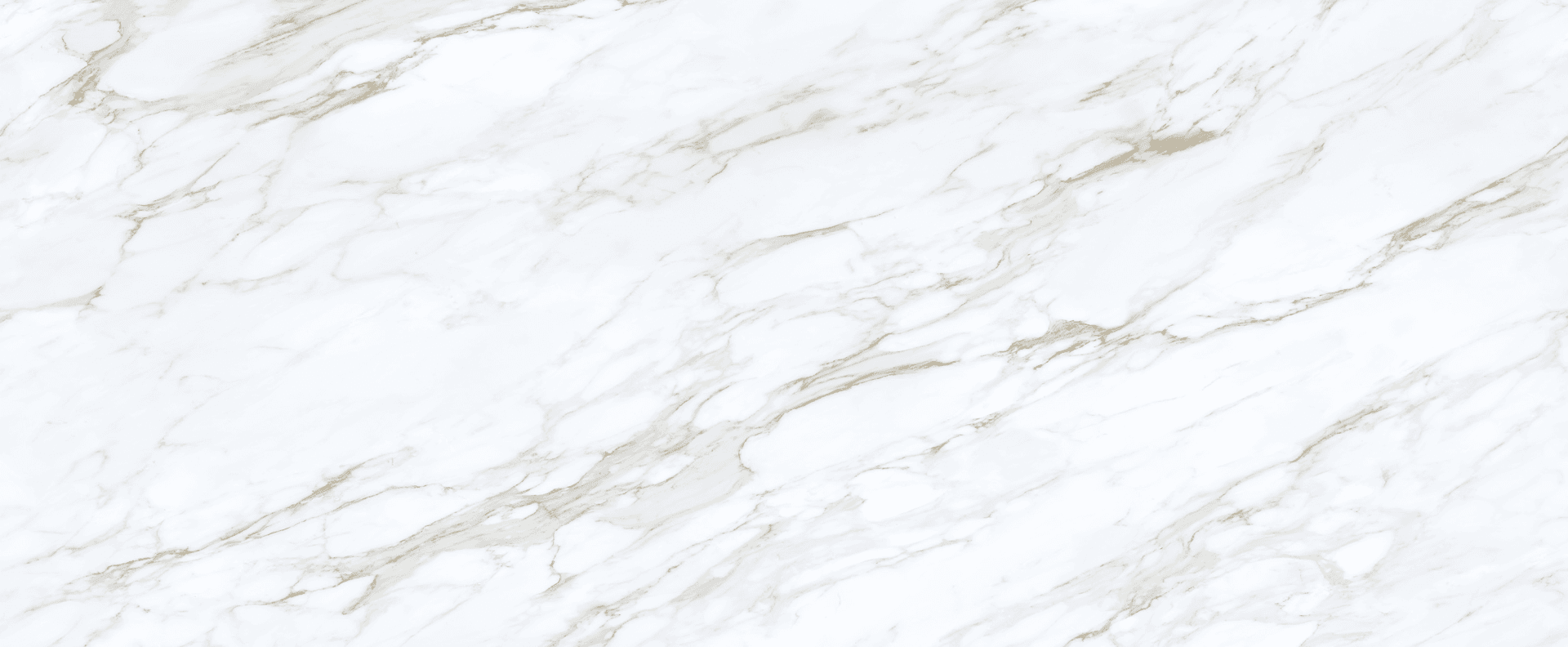 Full slab view of Calacatta Venata