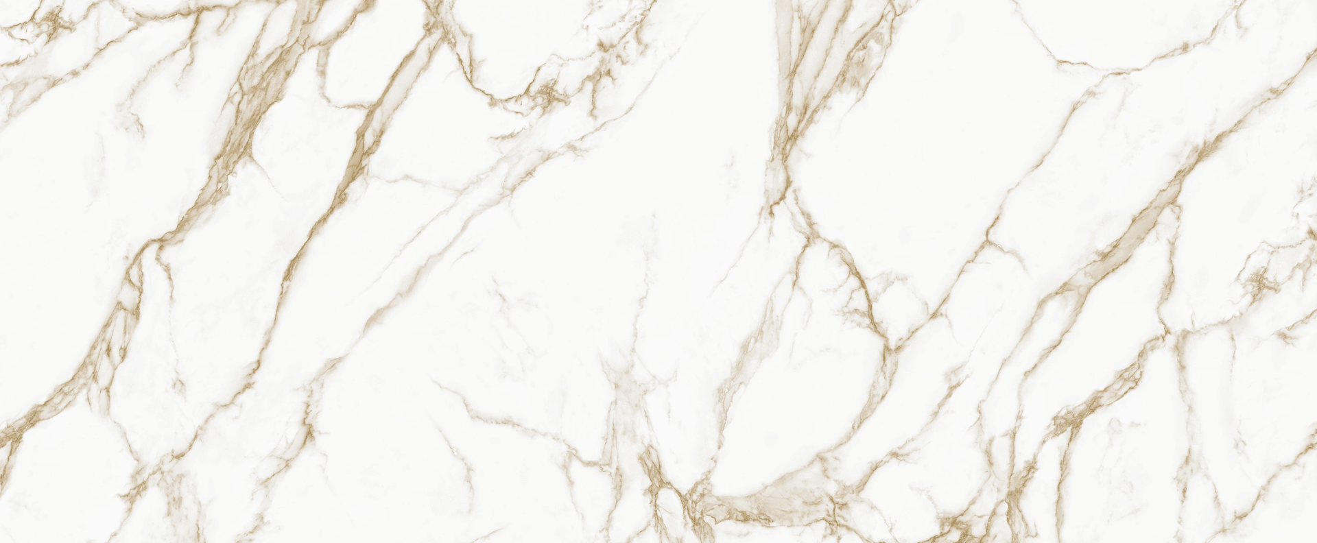 Full slab view of Calacatta Entzo