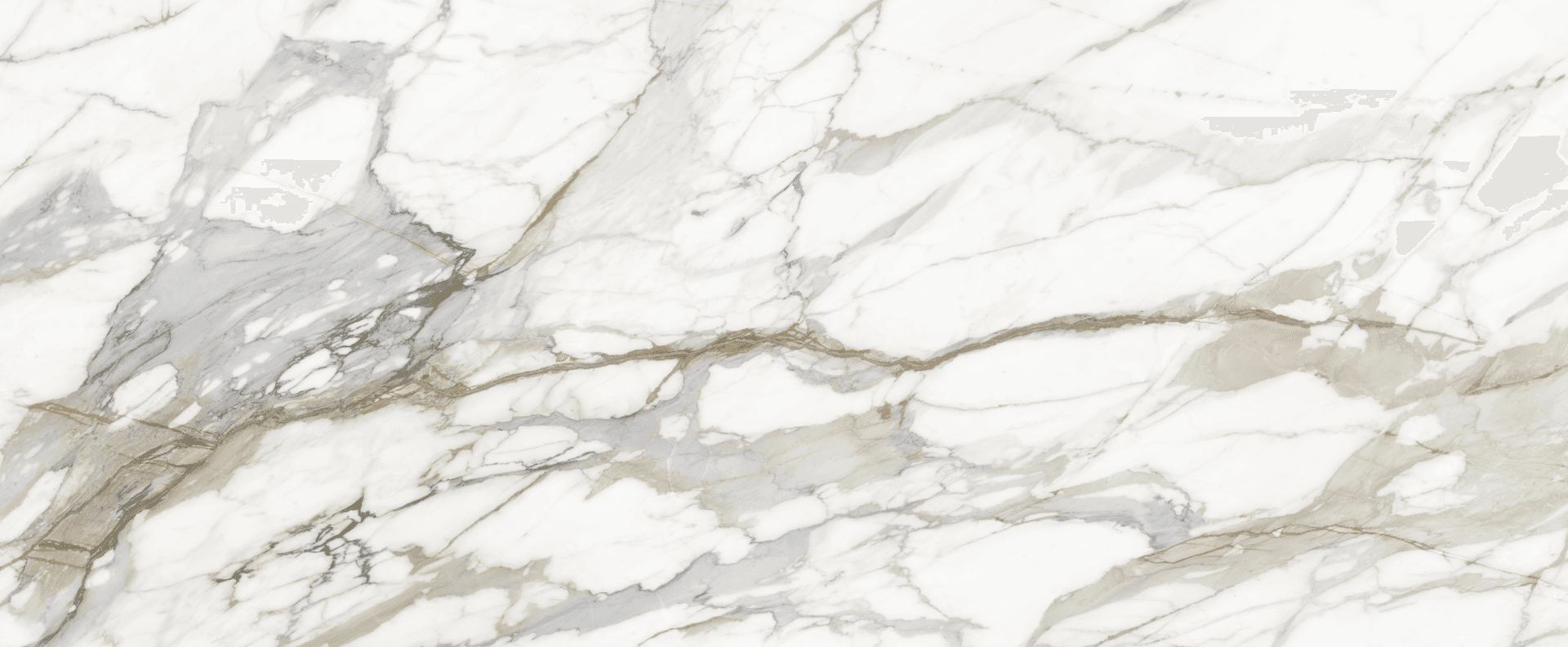 Full slab view of Calacatta Topaz