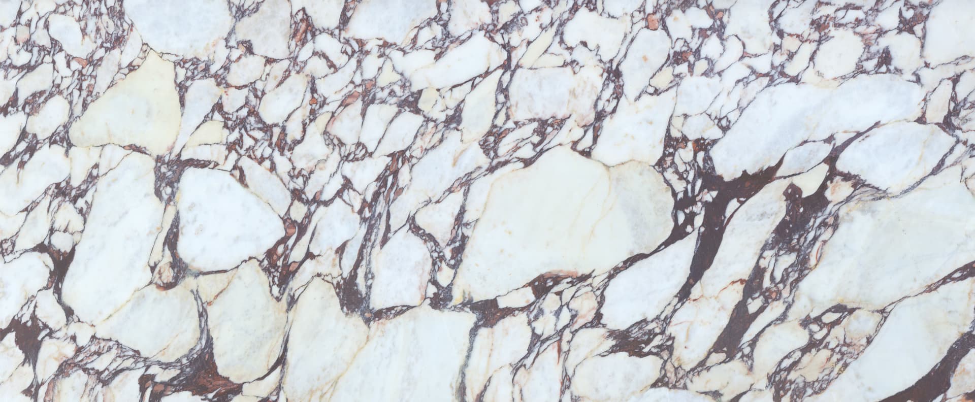 Full slab view of Calacatta Viola