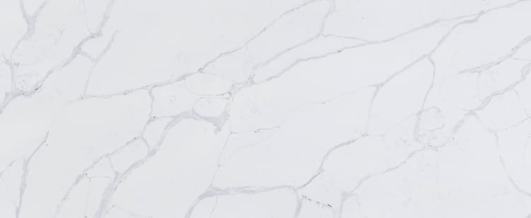 Calacatta Classique