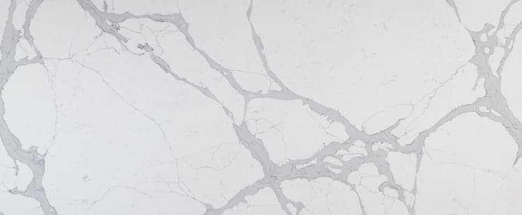 Calacatta Nuvo